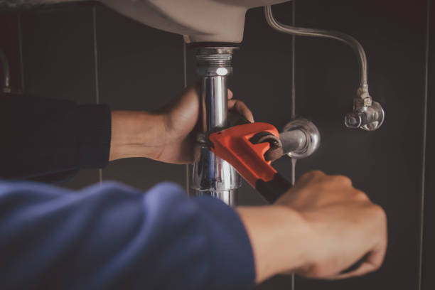 Best Plumbing Services Near Me  in Dundee, FL